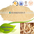 Panax Ginseng Root Extract Function